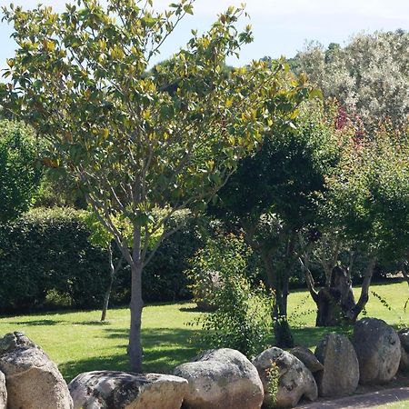 Les Jardins De Santa Giulia - Charmante Chambre D'Hote 2 Porto-Vecchio  Dış mekan fotoğraf