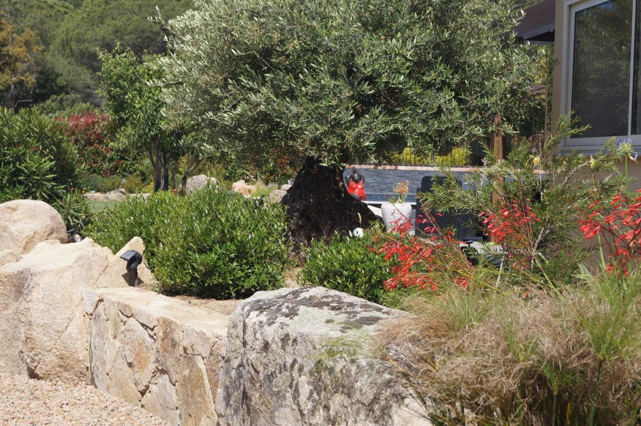 Les Jardins De Santa Giulia - Charmante Chambre D'Hote 2 Porto-Vecchio  Dış mekan fotoğraf
